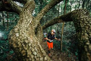 BIB: 
                            <button type="button" onclick="openModal(25393161)" class="btn btn-primary btn-sm float-right btn-popup" data-toggle="modal" data-target=".modal-high-quality">
                        <i class="fas fa-shopping-cart"></i> Add to Cart
                    </button>
                                            <button type="button" onclick="isThisMe(25393161, true)" class="btn btn-success btn-sm float-right btn-popup btn-isme hidden" data-toggle="tooltip" data-placement="bottom" title="นี่คือรูปของคุณใช่ไหม คลิกที่นี่เพื่อเอาเข้าอัลบั้ม">
                        <i class="fas fa-plus"></i> Add to album
                    </button>
                    <button type="button" onclick="isThisMe(25393161, false)" class="btn btn-warning btn-sm float-right btn-popup btn-isnotme hidden">
                        <i class="fas fa-ban"></i> Remove from album
                    </button>